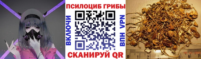 Галлюциногенные грибы мицелий  Шадринск 
