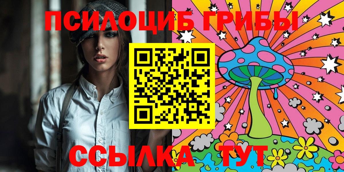 Псилоцибиновые грибы Cubensis Шадринск